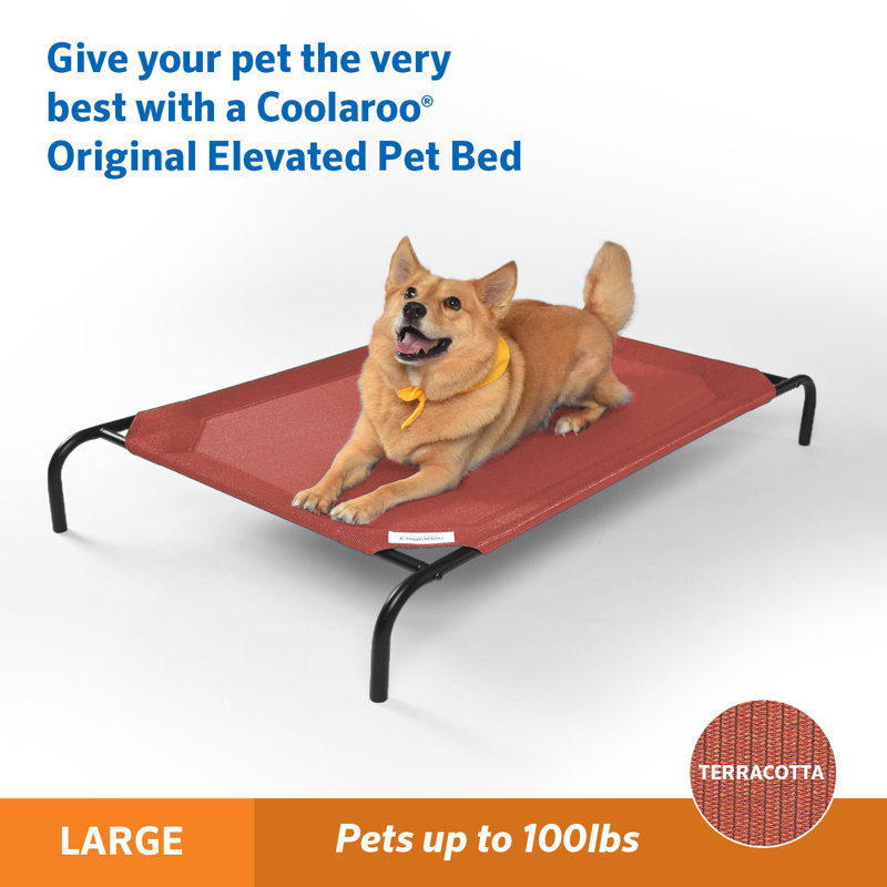 Coolaroo Elevated Indoor/Outdoor Pet Cot & Reviews Wayfair